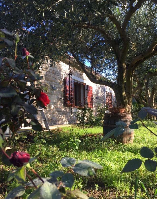 Casa Mala Villa Zadar Bagian luar foto
